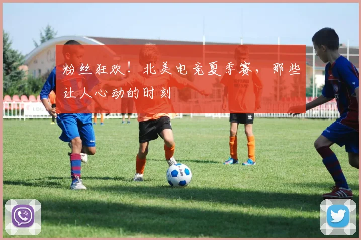 粉丝狂欢!北美电竞夏季赛,那些让人心动的时刻