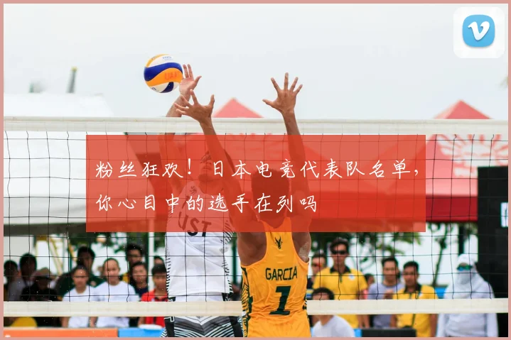 粉丝狂欢!日本电竞代表队名单,你心目中的选手在列吗