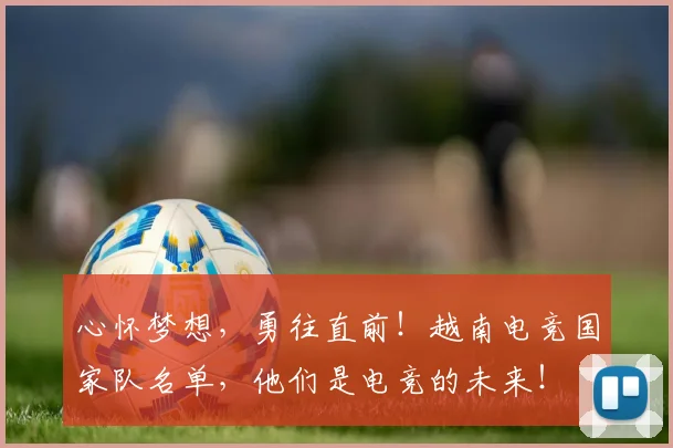 心怀梦想，勇往直前！越南电竞国家队名单，他们是电竞的未来！